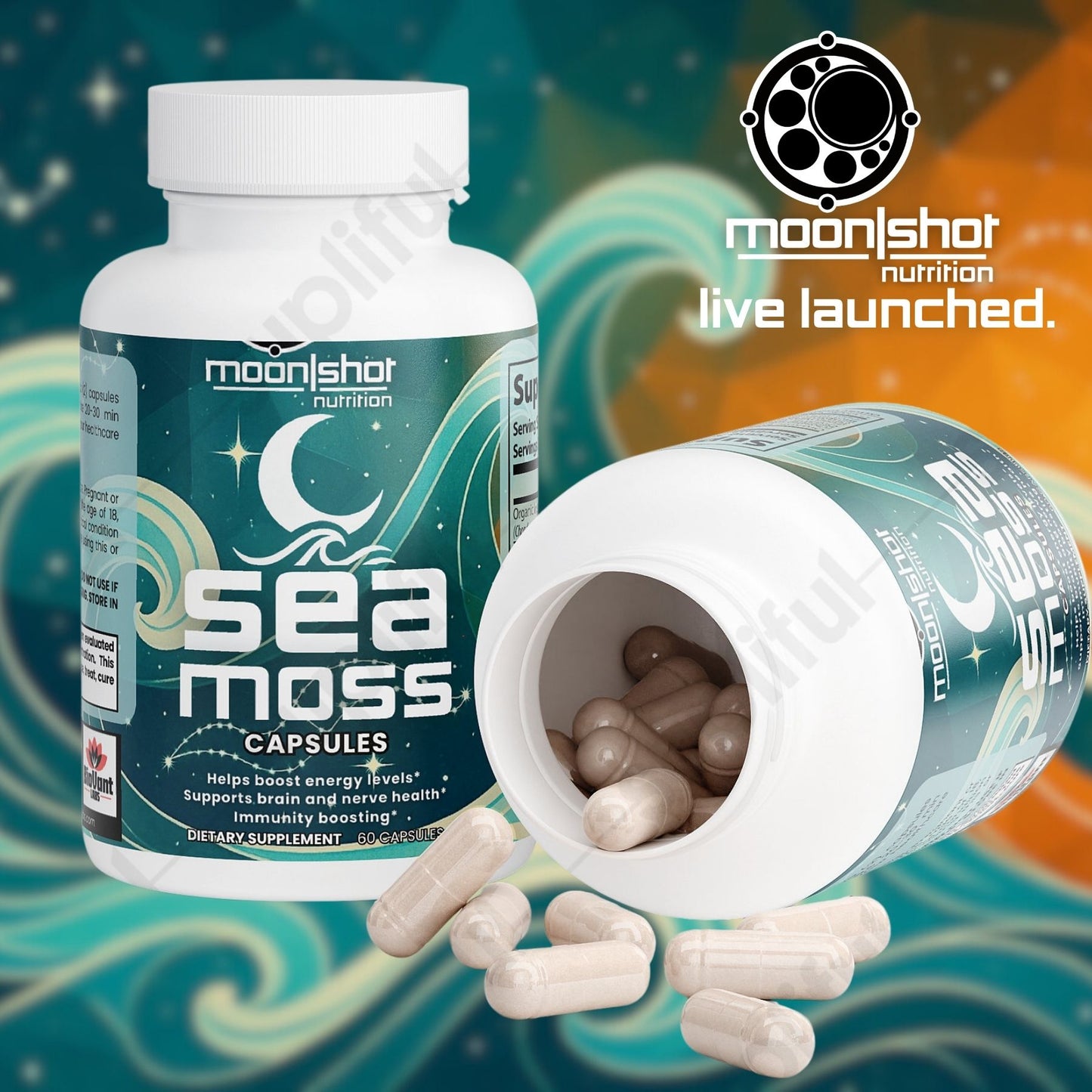 Moon|Shot Nutrition - Organic Sea Moss