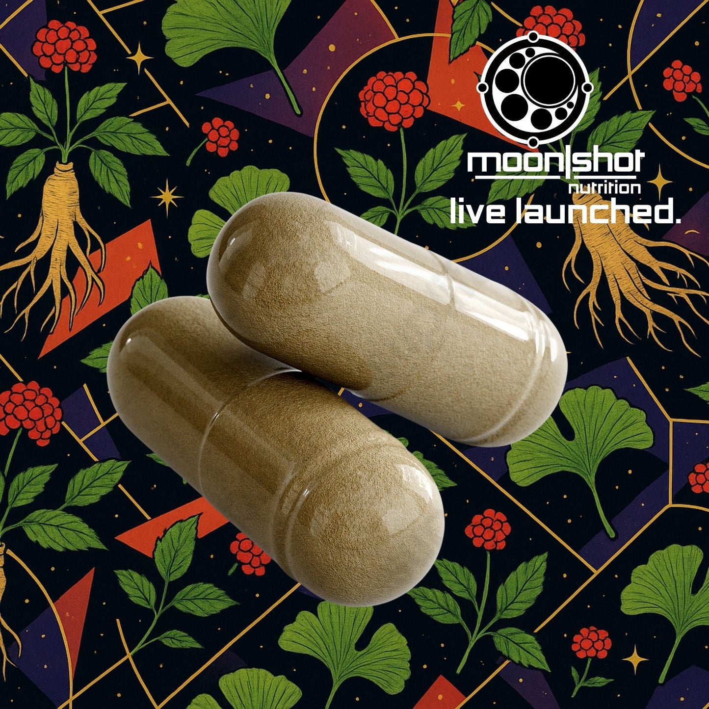 Moon|Shot Nutrition - Ginkgo Biloba + Ginseng