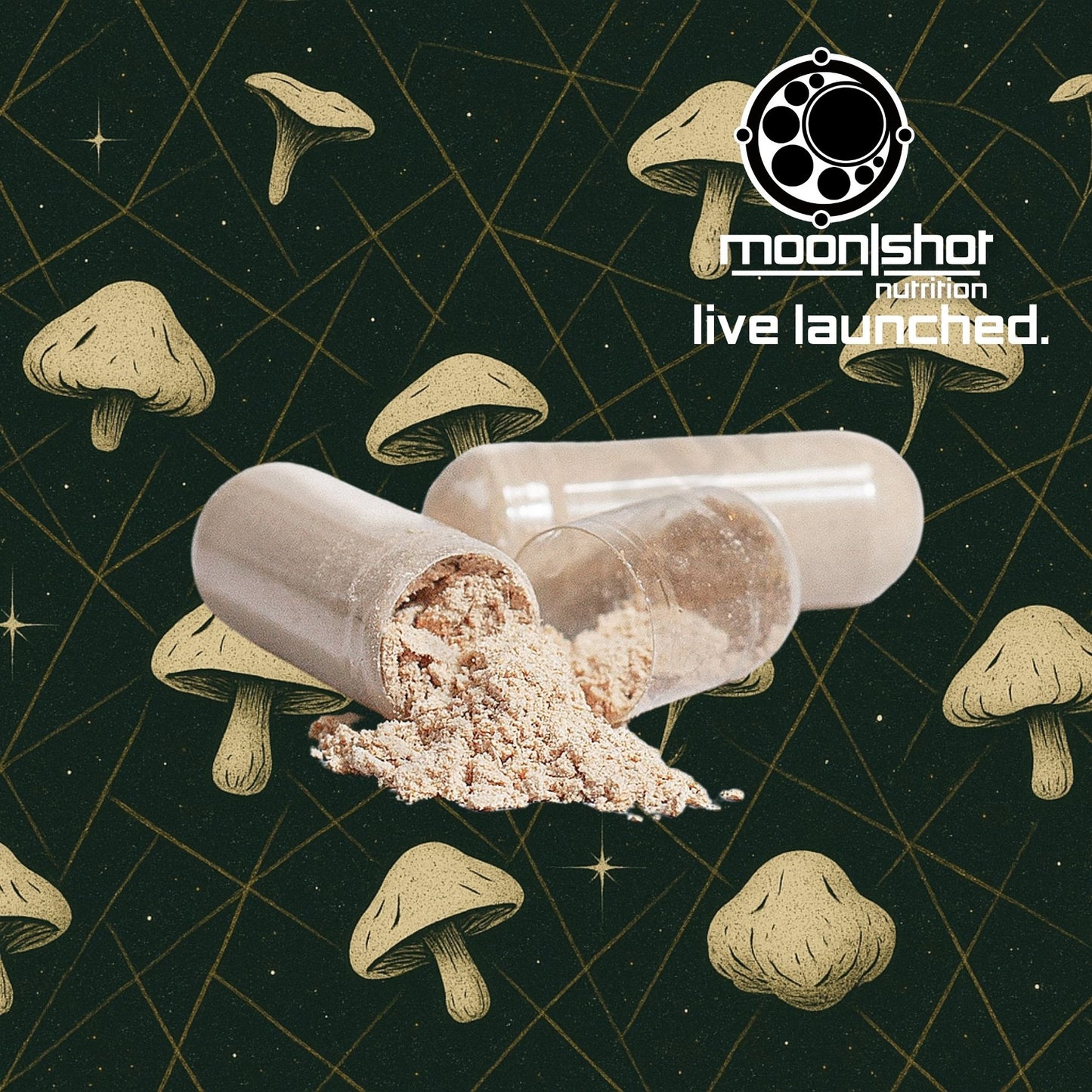Moon|Shot Nutrition - Chaga Mushroom