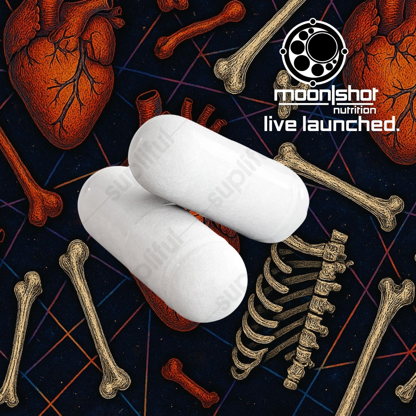 Moon|Shot Nutrition - Bone & Heart Support
