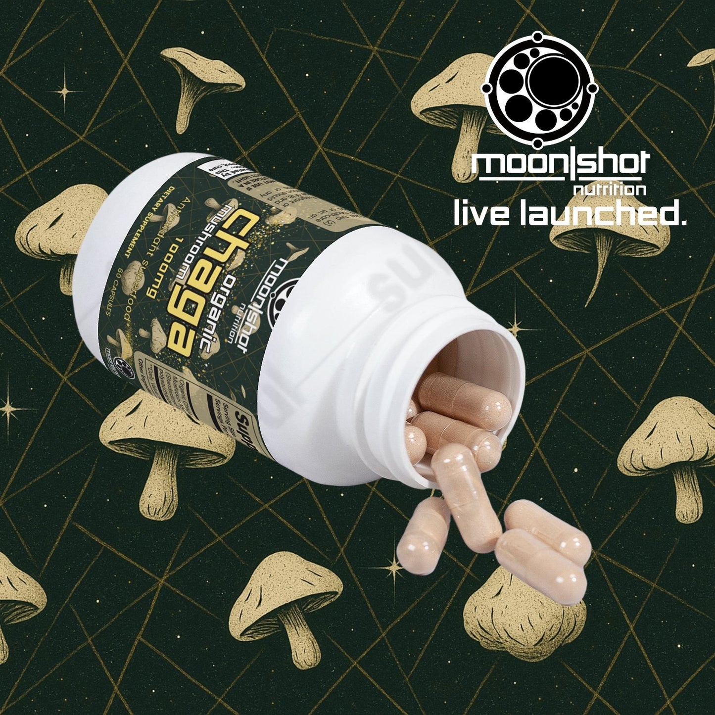Moon|Shot Nutrition - Chaga Mushroom